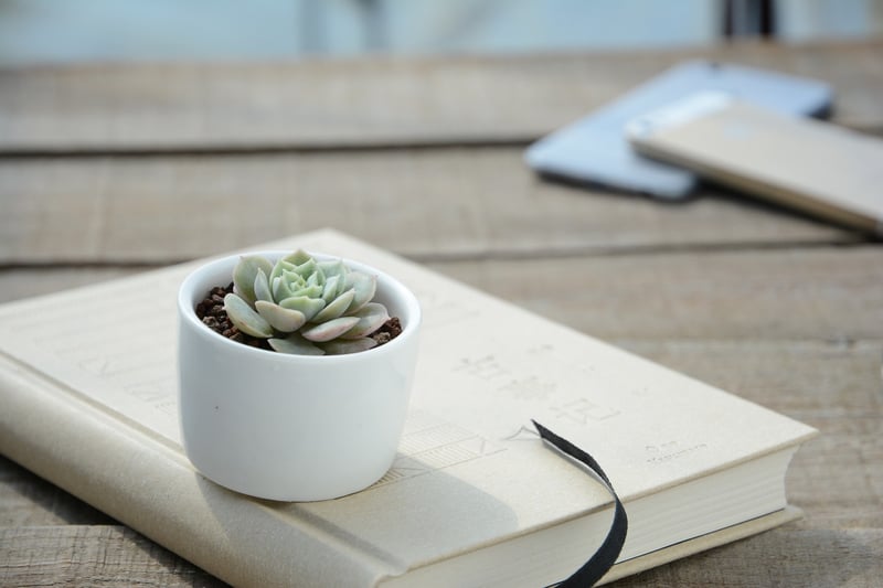 Repurposed planter